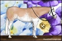 Horse Color:White Spotted Silver Bay Pearl Splash