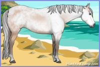 Horse Color:Gray Bay 