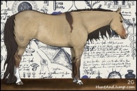 Horse Color:Liver Red Dun Sabino Rabicano 