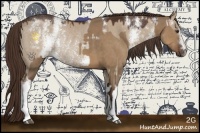 Horse Color:White Spotted Liver Red Dun Sabino  and White Spotted Liver Red Dun Rabicano 