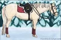 Horse Color:Buckskin Roan Pearl and Silver Buckskin Roan Pearl