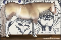 Horse Color:White Spotted Silver Brown Onyx Rabicano 