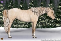 Horse Color:Bay Roan Pearl  and Silver Grullo Roan Pearl 