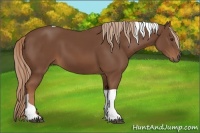 Horse Color:Chestnut Tobiano
