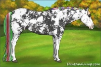 Horse Color:Painted Black Sabino 