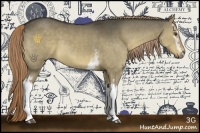 Horse Color:White Spotted Liver Red Dun 