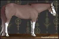 Horse Color:Chocolate Black Sabino Splash