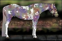 Horse Color:Nacre White Spotted Chocolate Palomino Tobiano 