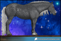 Horse Color:Silver Black Chinchilla 