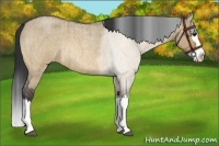 Horse Color:Bay Roan Dun Splash Rabicano Brindle