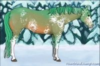 Horse Color:Watercolor White Spotted Brown Splash