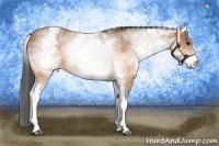 Horse Color:White Spotted Buckskin 