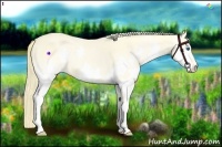 Horse Color:Perlino Splash 