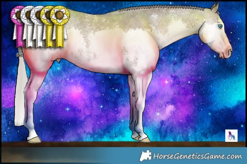 Horse Color:Chocolate Silver Brown Ice Sabino Splash Rabicano 