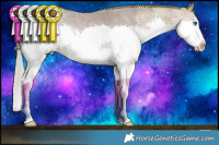 Horse Color:Chocolate Silver Brown Ice Sabino Splash Rabicano 