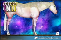 Horse Color:Chocolate Silver Brown Ice Sabino Splash Rabicano 