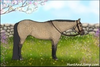 Horse Color:Brown Dun Brindle