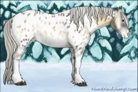 Horse Color:Chocolate Palomino Onyx Mushroom Tobiano Near Leopard 