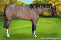 Horse Color:Bay Roan 