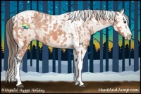 Horse Color:Bay Splash Tobiano Appaloosa  and Bay Splash Tobiano Appaloosa 
