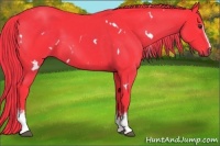 Horse Color:Watercolor White Spotted Liver Chestnut 