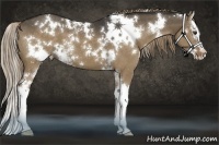 Horse Color:White Spotted Liver Red Dun Splash 