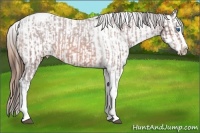 Horse Color:Bay Roan Splash Tobiano Varnish and Red Roan Splash Tobiano Varnish