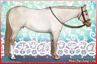 Horse Color:Red Dun Rabicano Brindle 