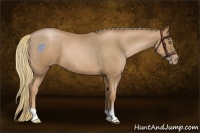 Horse Color:Chestnut Pearl