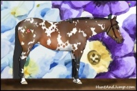 Horse Color:White Spotted Bay 