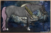 Horse Color:Painted Blue Roan Sabino