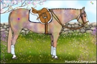 Horse Color:Nacre Palomino Sabino 