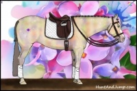 Horse Color:Nacre Amber Cream Champagne Dun 