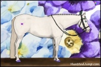 Horse Color:Perlino Roan Sabino