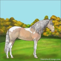 Horse Color:Watercolor Silver Perlino Tobiano