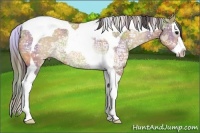 Horse Color:Nacre Bay Ice Dun Splash Tobiano 