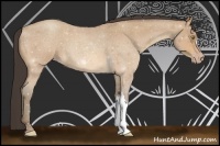Horse Color:Amber Champagne Roan 