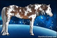 Horse Color:White Spotted Brown Splash 