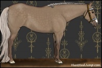 Horse Color:Silver Grullo 