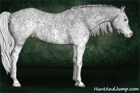 Horse Color:White Spotted Silver Grullo Chinchilla 