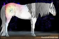 Horse Color:White Spotted Buckskin Roan Splash 