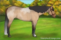 Horse Color:Brown Roan Dun Rabicano Brindle