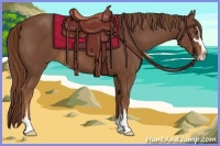 Horse Color:Chestnut Sabino 