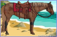 Horse Color:Bay  and Chestnut Sabino 