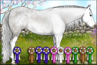 Horse Color:Gray Silver Buckskin Roan Splash 