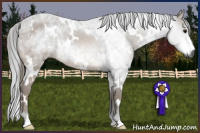 Horse Color:Gray White Spotted Buckskin 