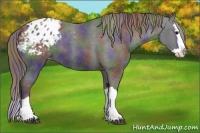 Horse Color:Nacre Smoky Black Splash Appaloosa 