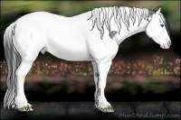 Horse Color:Smoky Black Ice Splash Tobiano 