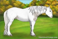 Horse Color:Silver Smoky Black Ice Sabino Splash Tobiano Appaloosa