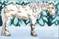 Horse Color:White Spotted Silver Buckskin Splash Tobiano